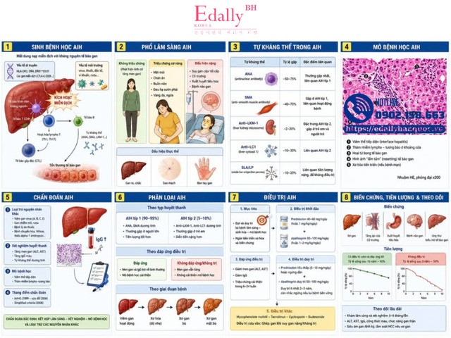 Viêm gan tự miễn (Autoimmune Hepatitis - AIH) Viêm gan tự miễn (Autoimmune Hepatitis - AIH)